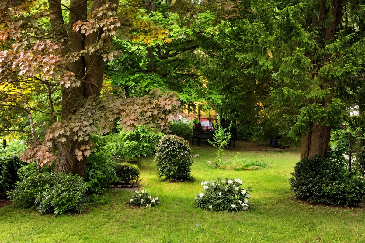 Blick in den parkähnlichen Garten der Villa